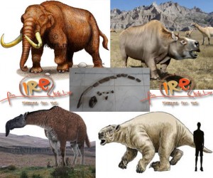 ¿Qué especie de animal de la megafauna se encontró en Oliveros? ¿Qué especie de animal de la megafauna se encontró en Oliveros?