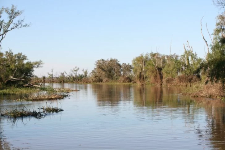El estado de los humedales en la mira del sitio Ramsar