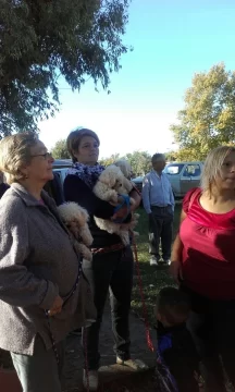 Jornada de Castración de Mascotas en Serodino