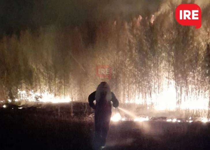 El fuego ya arrasó con 200 hectáreas a la vera del Carcarañá