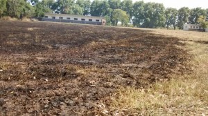 Se produjo un gran incendio de pastizales en la Colonia Psiquiatrica