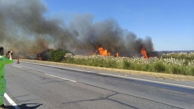 Bomberos trabajan en tres grandes incendios de pastizales y campos