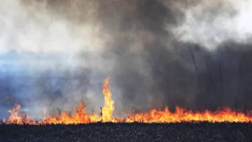 Ecosistemas protegidos: Sancionaron la Ley que prohíbe vender terrenos incendiados