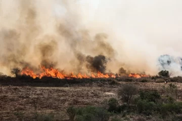 Diputados aprobó el proyecto que prohíbe la venta de terrenos incendiados
