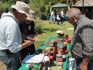 Con más de 500 personas se realizó una nueva jornada de Huerta Abierta