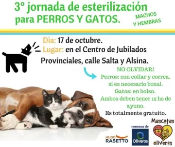 Oliveros tendrá una nueva jornada de esterilización para animales