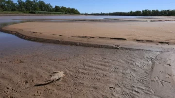 En medio de otra gran bajante Paraguay mandará un poco agua al Paraná