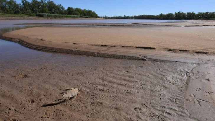 En medio de otra gran bajante Paraguay mandará un poco agua al Paraná