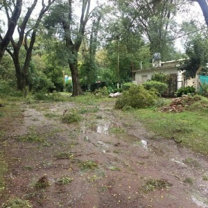 La falta de energía eléctrica, la gran consecuencia tras el temporal
