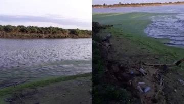 Extrañas manchas verdes sobre el río sorprendieron a vecinos en Puerto Gaboto