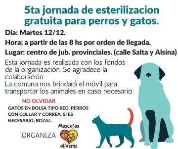 Mascotas Oliveros organiza nueva jornada de castración masiva