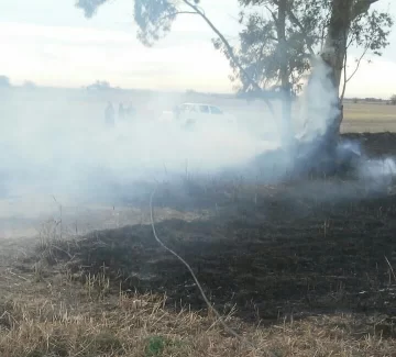 Por segundo día consecutivo se activó un incendio forestal sobre ruta 65 en Monje