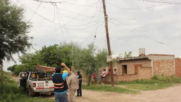 Intentó engancharse a la luz y murió en el acto