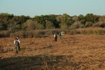 Parques Nacionales avanza en el estudio de la biodiversidad del Delta