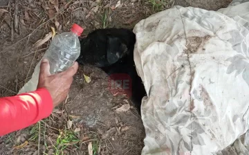 Vecinos de Villa Adriana denunciaron envenenamiento de perros