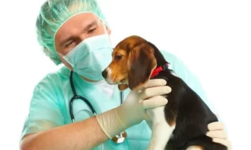 Por primera vez, llega el camión quirúrgico veterinario a Maciel