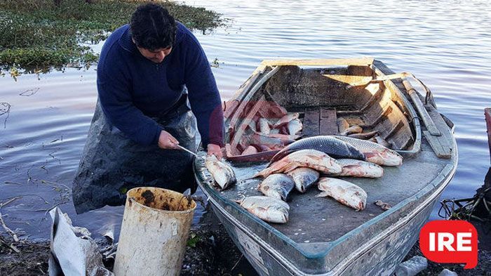 Extendieron la validez de las licencias a pescadores hasta el 20 de marzo