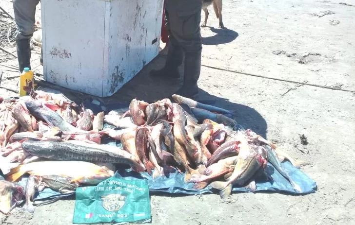 Pescaban en Gaboto y fueron sancionados con gran cantidad de especies prohibidas