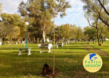 Vecinos de Barrancas pueden solicitar árboles para el frente de su hogar