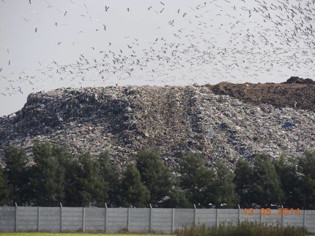 Ricardone: Un europeo producirá biogás con la basura