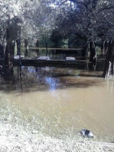 Oliveros busca una solución a los desbordes del Rio Carcaraña.