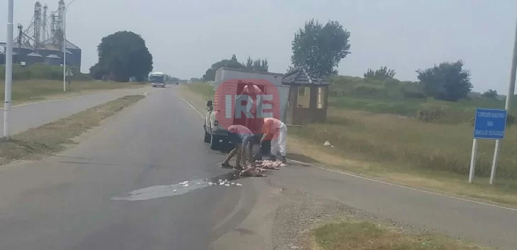 Un camión distribuidor de carne volcó su carga en ruta 11