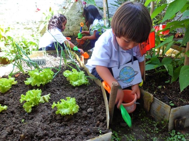 INTA: Realizaron charla sobre cultivos temporada otoño-invierno