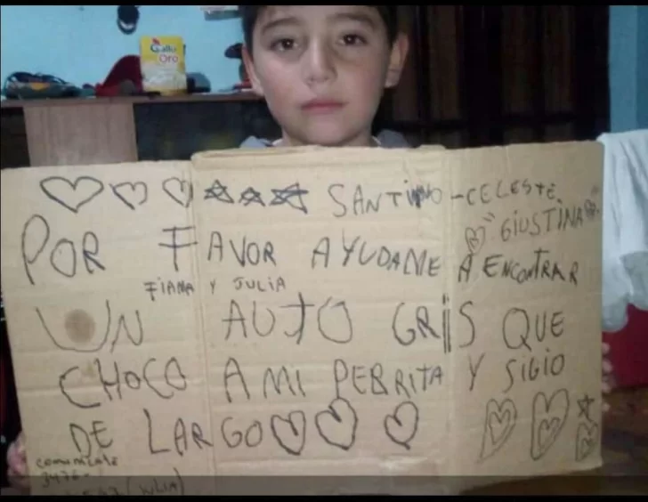 Un niño pide ayuda para encontrar a quien chocó a su perrita