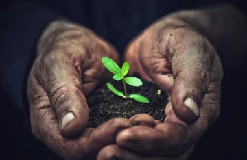 Agroecología: Mural en la Escuela, Libro y Charla Debate