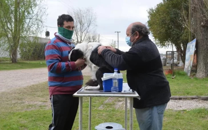 El lunes comienza el cronograma de vacunación antirrábica en Timbúes