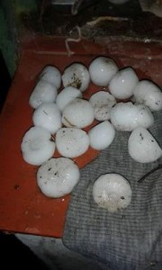 Carrizales el pueblo más golpeado por la tormenta en la región