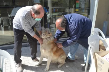 Barrancas realiza hoy una jornada de vacunación antirrábica gratuita