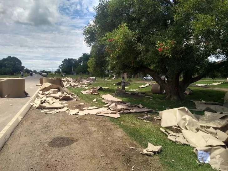 Volcó un camión que transportaba bobinas de papel sobre ruta 10