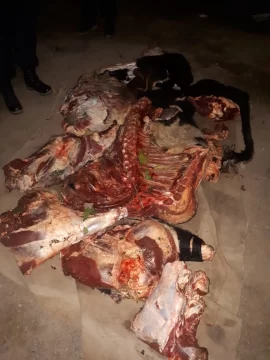Secuestraron 200 kilos de carne cuestionada por abigeato