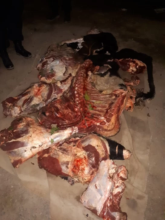 Secuestraron 200 kilos de carne cuestionada por abigeato