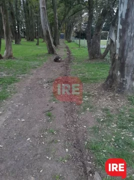 Vandalizaron y robaron en el predio del Club Sportivo Belgrano