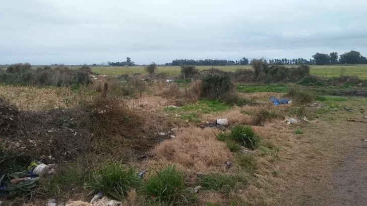 Solicitan denunciar a quienes arrojen basura en espacios públicos