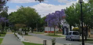 Una abuela estaba hamacando a su nieta cuando le sacaron el celular