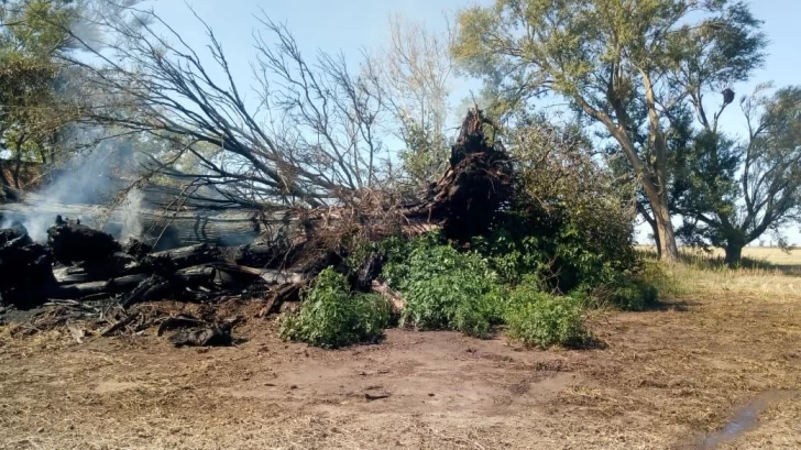 Bomberos sofocaron un incendio en un campo sobre la 91