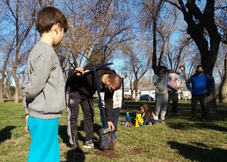 Vecinos de Andino comenzaron a reforestar con especies nativas y frutales