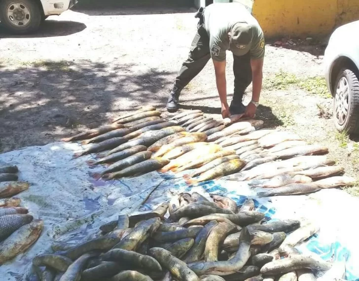 Decomisaron casi 500 pescados y sancionaron a un hombre en Monje