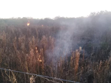 Se incendió un campo de pastizales en Maciel: Ya fue controlado