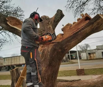 Un destacado artista crea una escultura parlante en el bulevar de Serodino