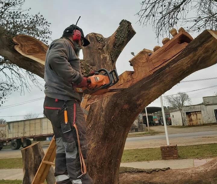 Un destacado artista crea una escultura parlante en el bulevar de Serodino