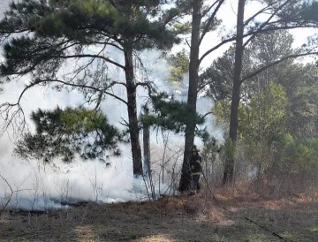 Ardió en llamas un monte de eucaliptos entre Aldao y Pueblo Andino