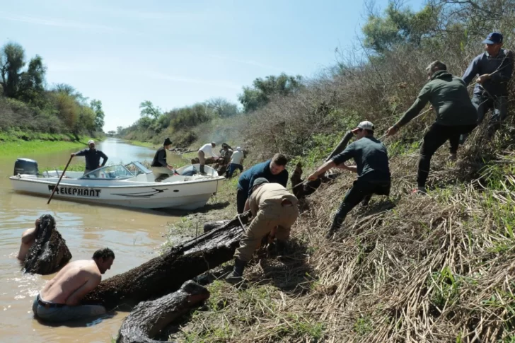 Organizaron una jornada de limpieza en el arroyo El Ternero de Puerto Gaboto