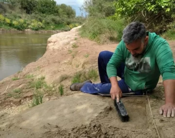 Encontraron en Andino más restos y hasta una cueva paleontológica