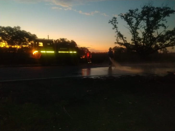 Productores avícolas alerta ante la falta de luz: “Están en riesgo los animales”