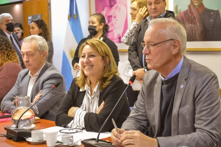 Mónica Fein fue electa como presidenta de Salud en Diputados