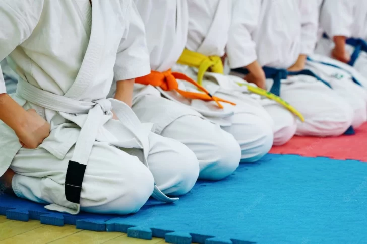 Más de 100 alumnos de Karate Do participarán de la Copa Timbúes